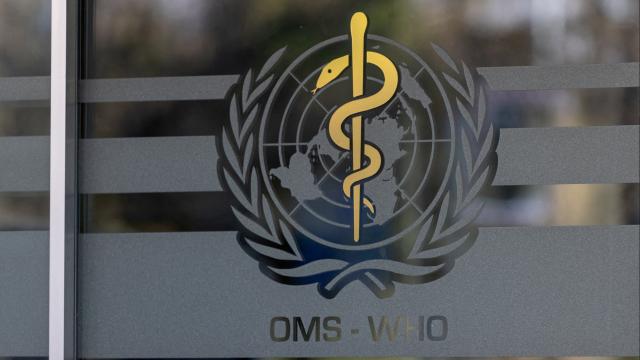 DSÖ: Rusya'daki zatürre vakasında bulaş kanıtı yok
