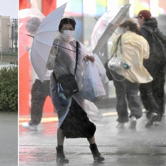 Dujuan Tayfunu Japonya'yı vurdu: 2 ölü, 1,9 milyon tahliye