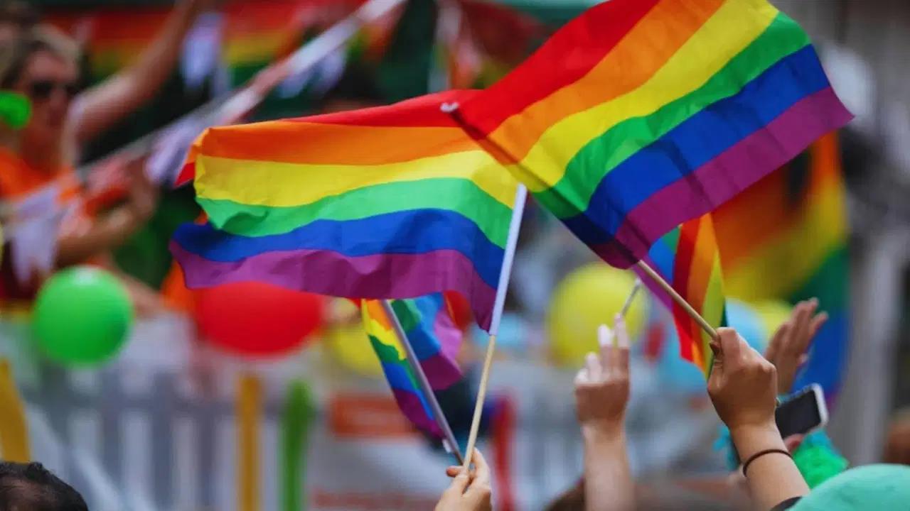 Dünyadan 450+ Kuruluştan Ortak Çağrı: LGBTİ+ Operasyonlarına Son