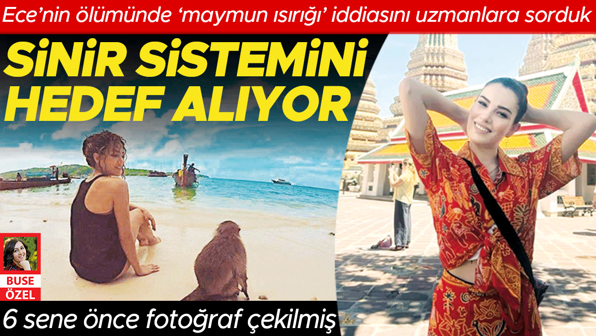 Ece İrtem'in ölümünde yeni iddia: Maymun ısırığı