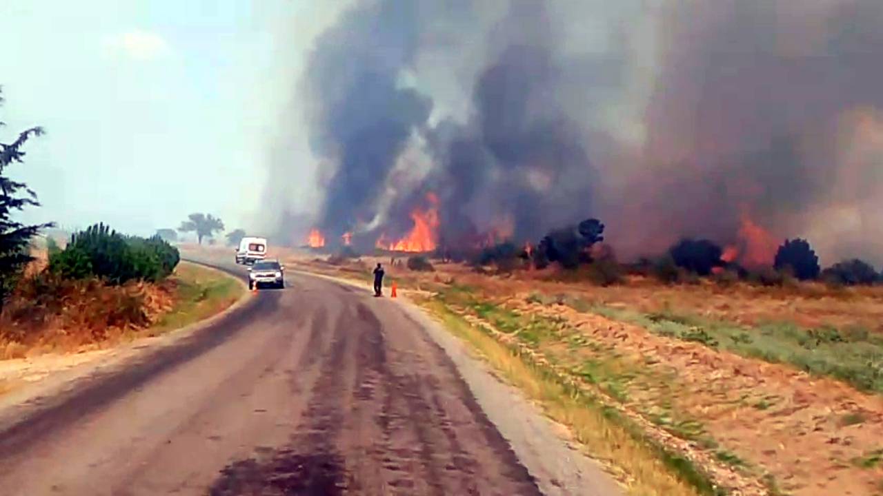 Edirne'deki Anız Yangını Ormana Sıçradı: Ekipler Havadan ve Karadan Müdahalede