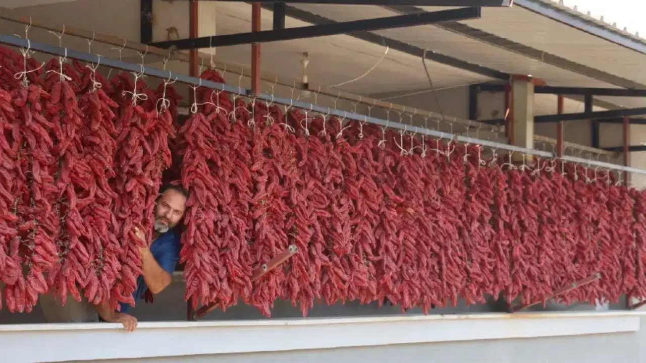 Edirne'nin Coğrafi İşaretli Karaağaç Biberinde Hasat Başladı