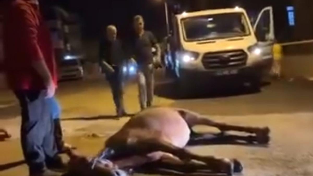 Edirne Keşan'da ata şiddet: 2 kişi gözaltında