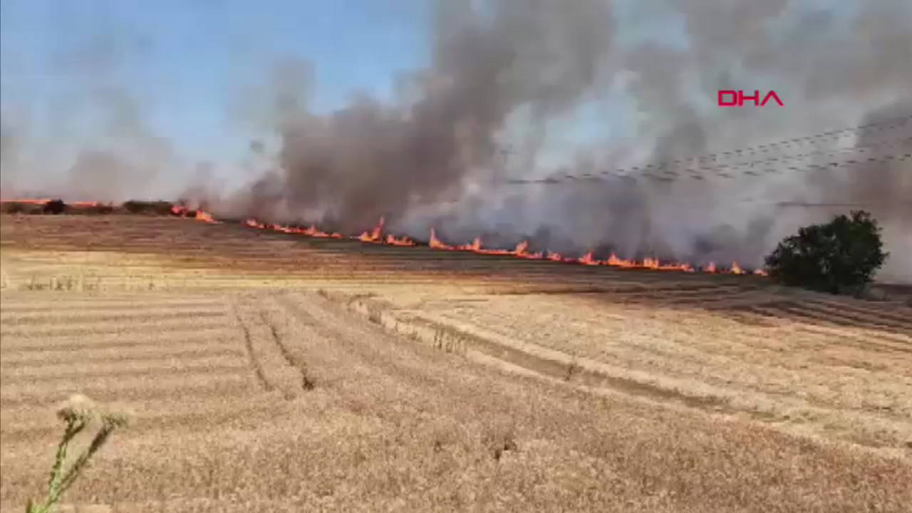 Edirne'de anız yangını: 500 dekar tarım arazisi kül oldu