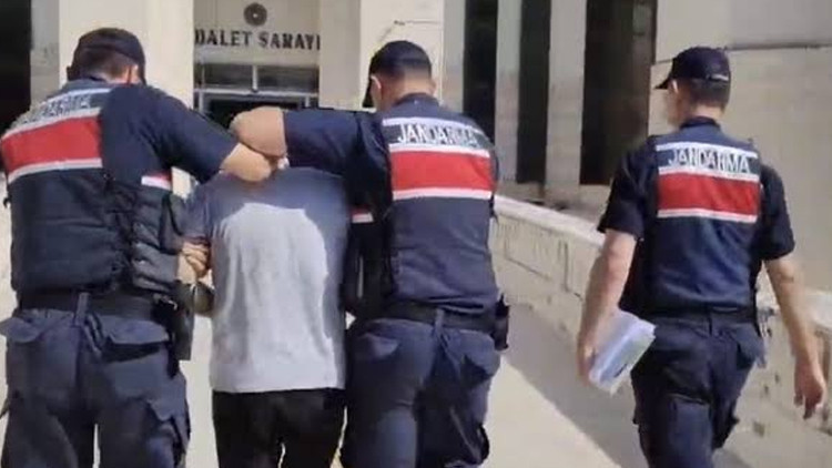 Edremit'teki orman yangınında bir kişi tutuklandı