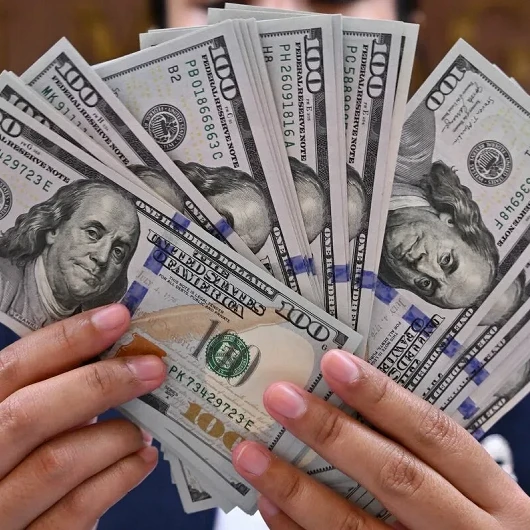 Ekonomistlere Sorulan Soru: Dolar Ne Olacak