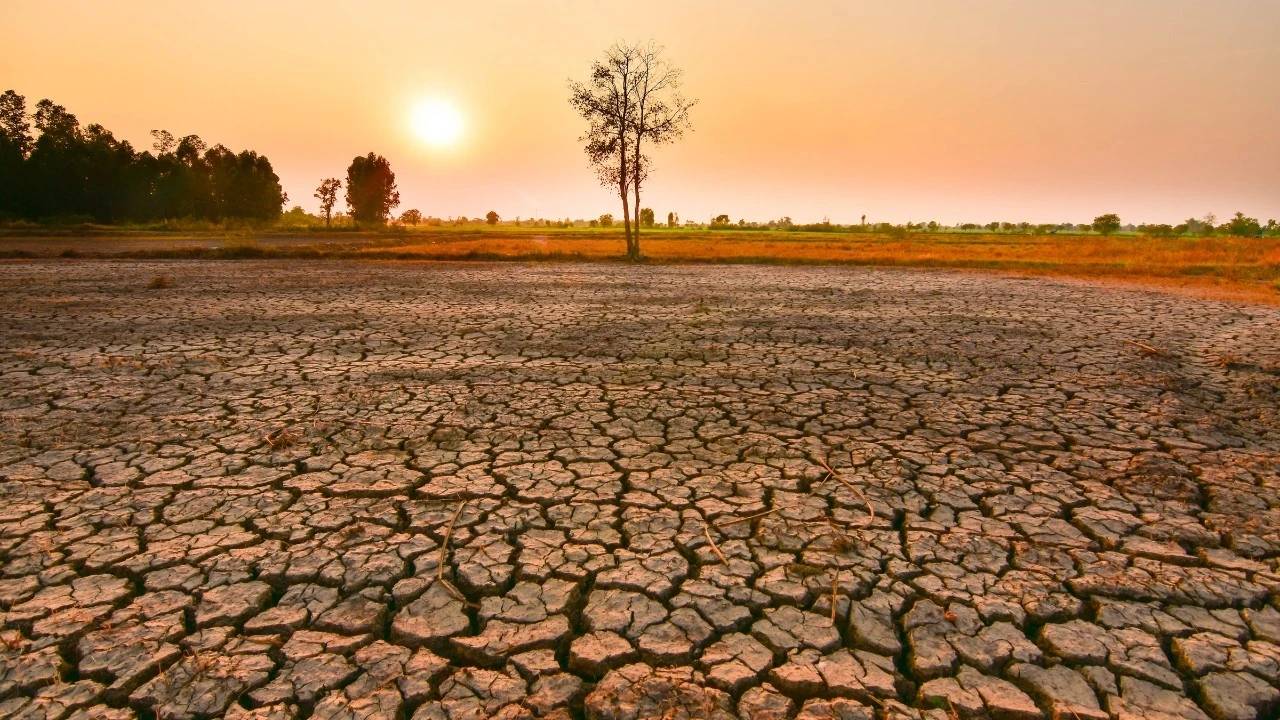 El Niño 2026'da Rekor Kırabilir: 49 Milyon Kişi Risk Altında