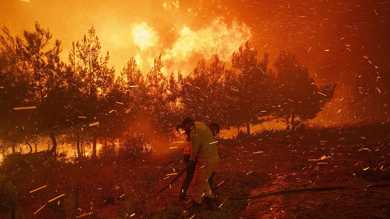 El Nino orman yangını riskini artırıyor: Bilim insanından uyarı