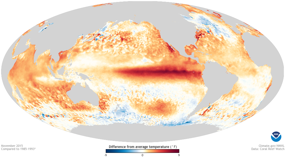 El Nino pirinç fiyatlarını ısıtmaya başladı