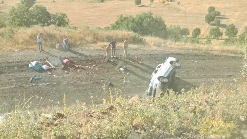 Elazığ'da kamyonet şarampole yuvarlandı: 4 kişi yaralandı