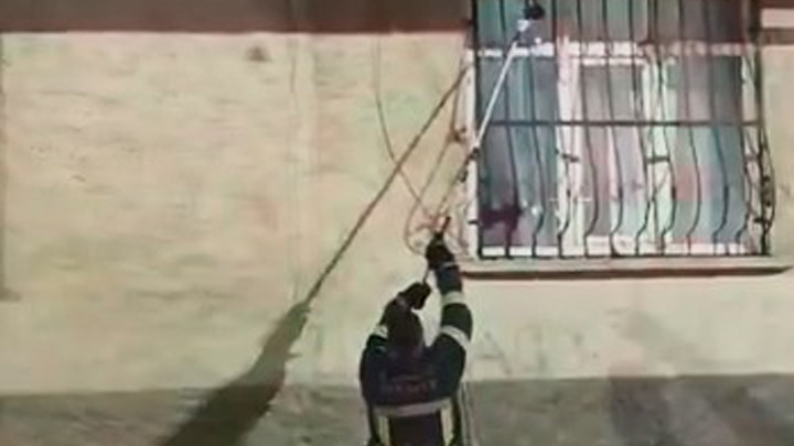 Elazığ'da eve tırmanan yılan itfaiye tarafından kurtarıldı