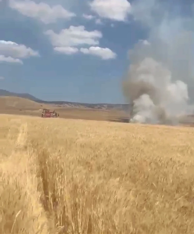 Elazığ'da örtü yangını faciaya dönüştü: buğday ve arpa tarlaları küle döndü