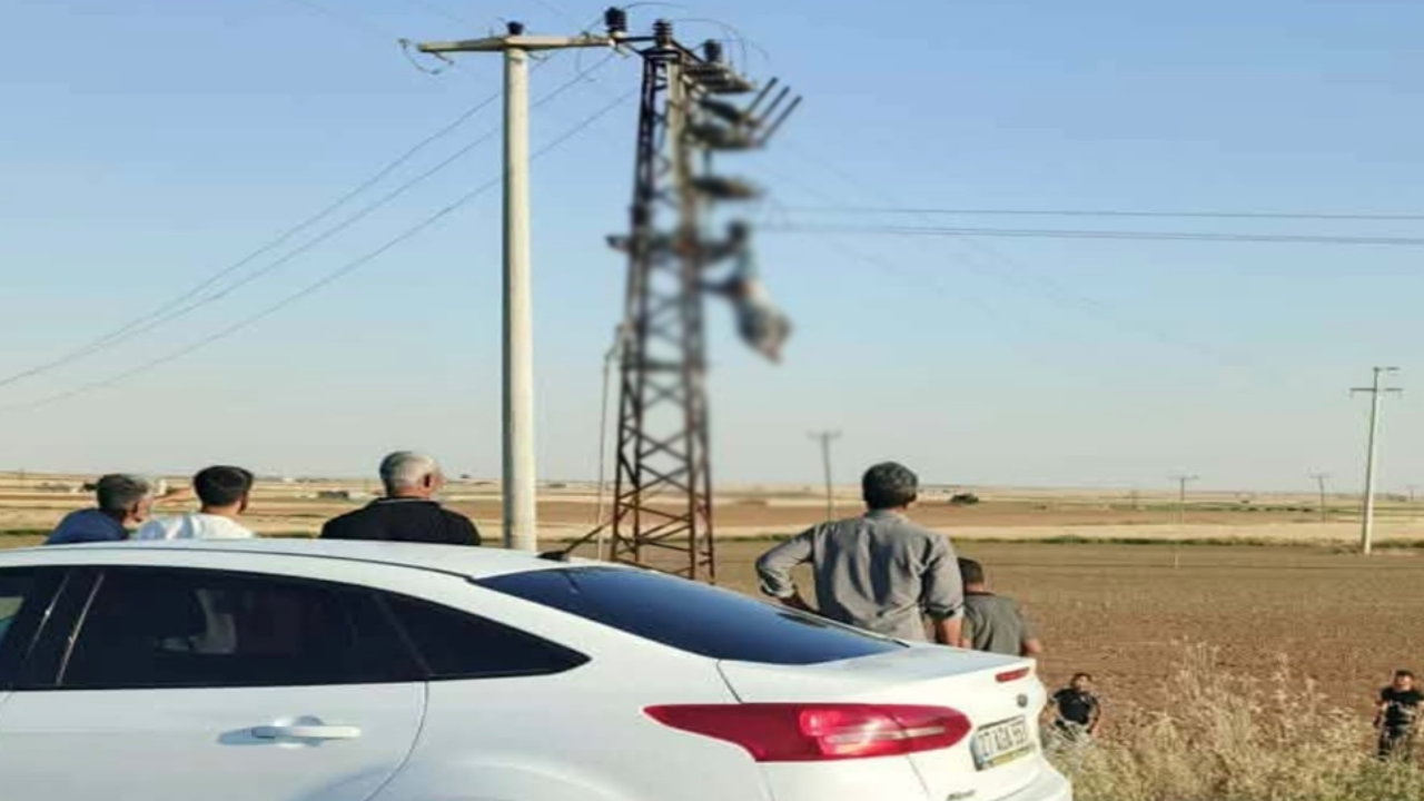 Elektrik direğinde facia: Akıma kapıldı, asılı kaldı