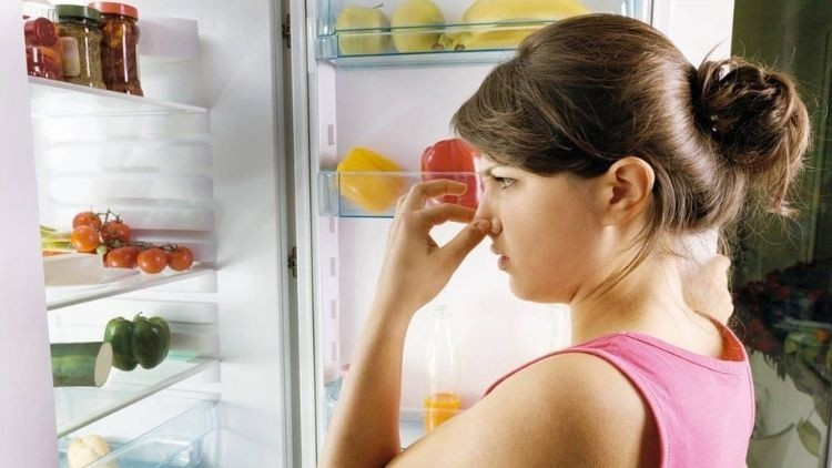 Elektrik Kesintilerinde Gıda Güvenliği: Buzdolabı Kapağını Açmayın