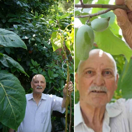 Emekli öğretmen 50 ülkeden tohum getirip dünya bahçesi kurdu