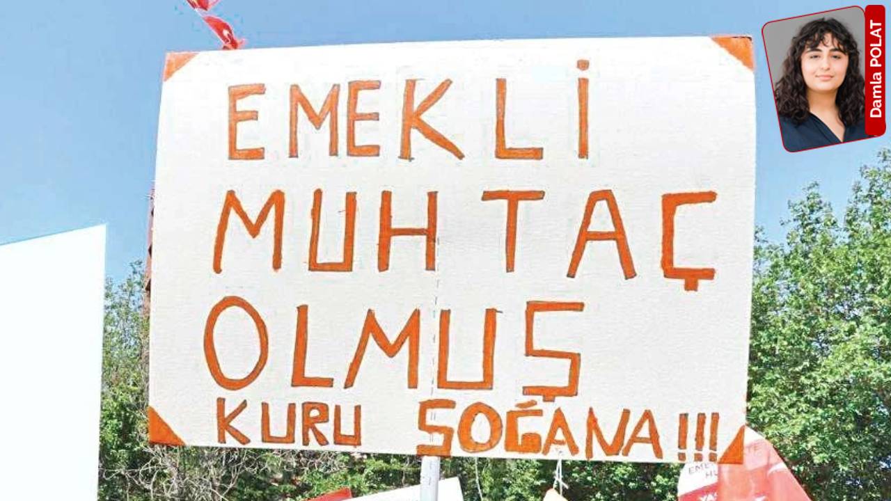 Emekli Ölümüne Çalışıyor: 65 Yaş Üstü Vatandaşların Zorlu Mücadelesi
