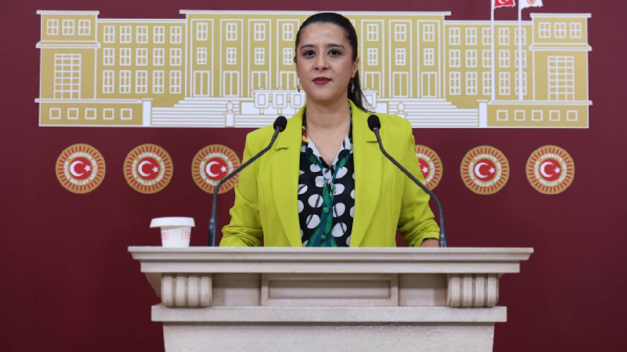 EMEP'li Karaca, Kadın İşçiye Şiddet İddiasını Meclis Gündemine Taşıdı