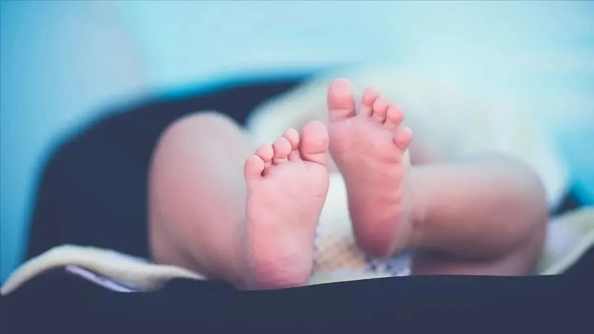 Enstitü Sosyal'den 10 Maddelik Aile ve Nüfus Reçetesi: Doğurganlık Alarmı