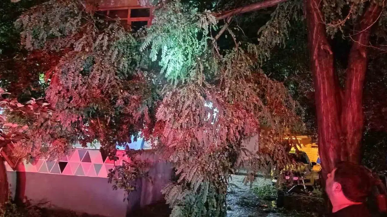 Erdek'te fırtına ve dolu hasarı: Ağaçlar devrildi, çatılar uçtu