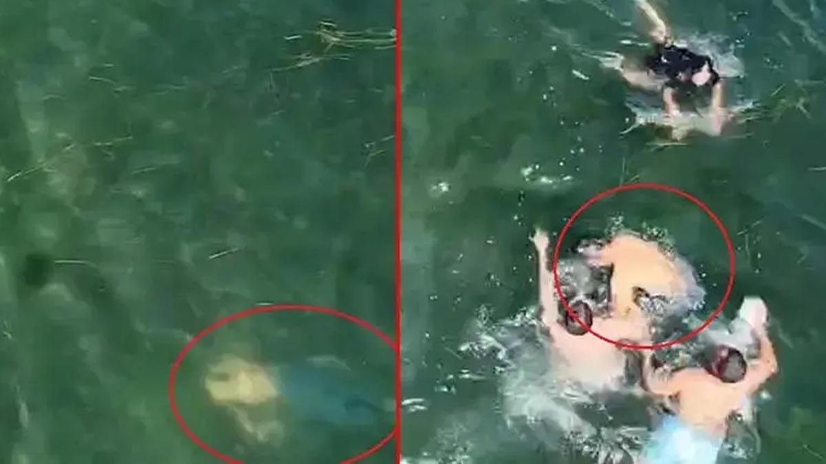 Erdek'te Boğulma Tehlikesi Geçiren Kişi Drone ile Kurtarıldı