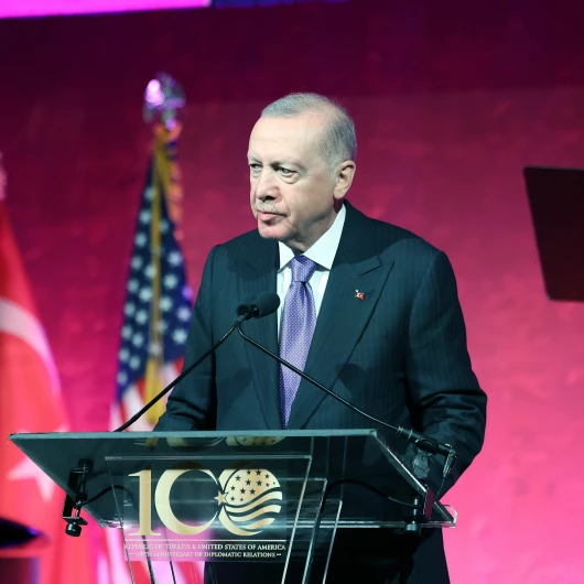 Erdoğan'dan BM Güvenlik Konseyi'ne veto çağrısı