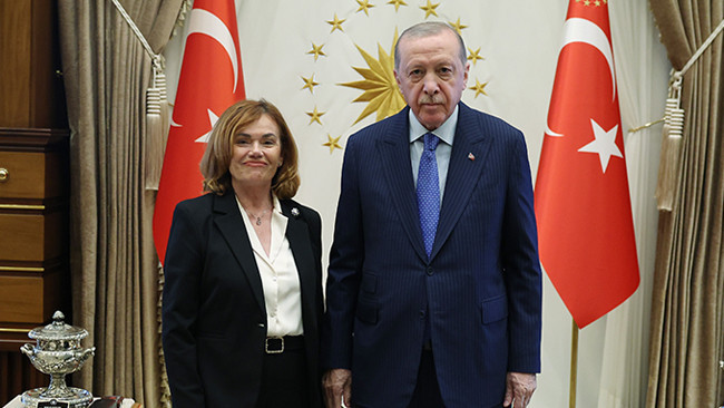 Erdoğan, İspanya Anayasa Mahkemesi Başkanvekilini Ankara'da kabul etti