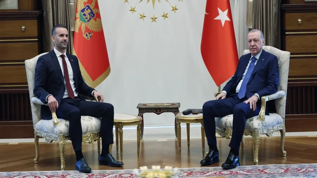 Erdoğan, Karadağ Başbakanı Spajic'i Kabul Etti