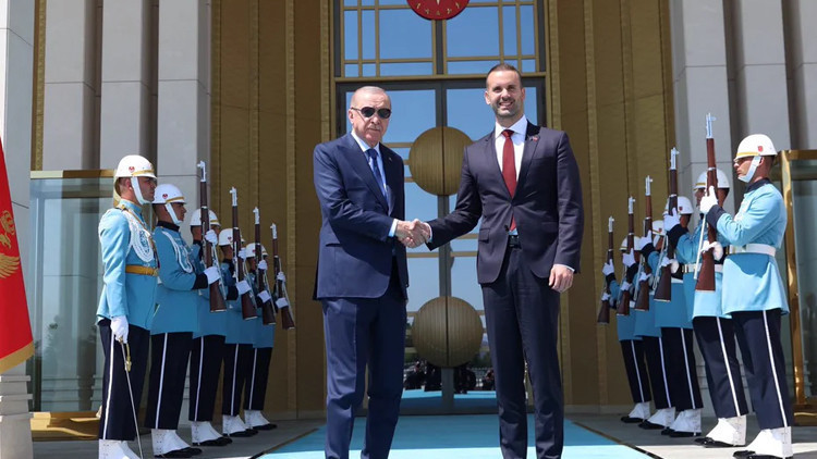 Erdoğan, Karadağ Başbakanı Spajic'i Kabul Etti