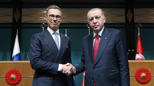 Erdoğan ve Stubb'dan NATO Zirvesi'nde kritik görüşme