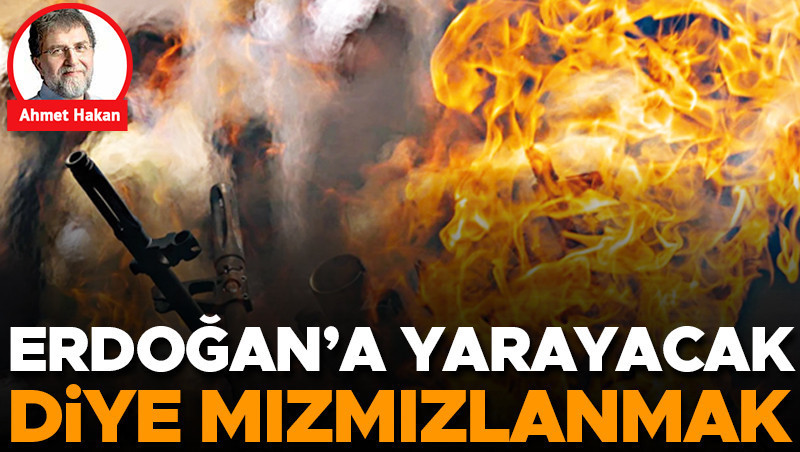 Erdoğan'a Yarayacak Diye Mızmızlanmak: Süreç Neden Eleştiriliyor