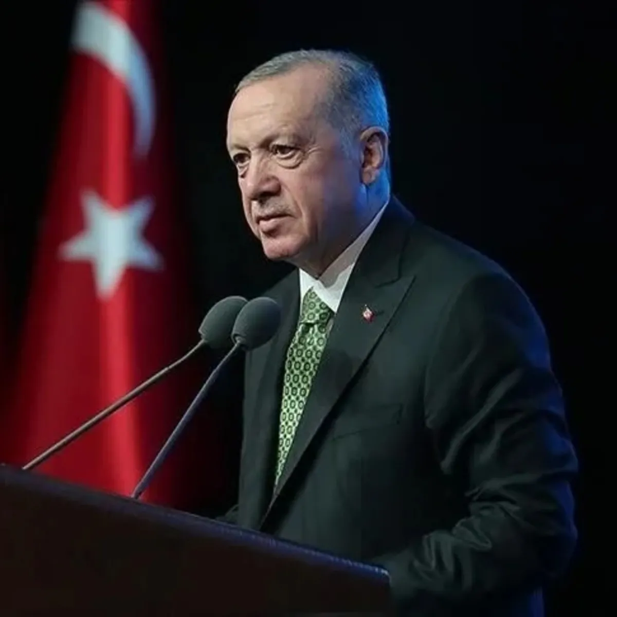 Erdoğan'dan Türk Dil Bayramı mesajı: Dilimize sahip çıkmalıyız