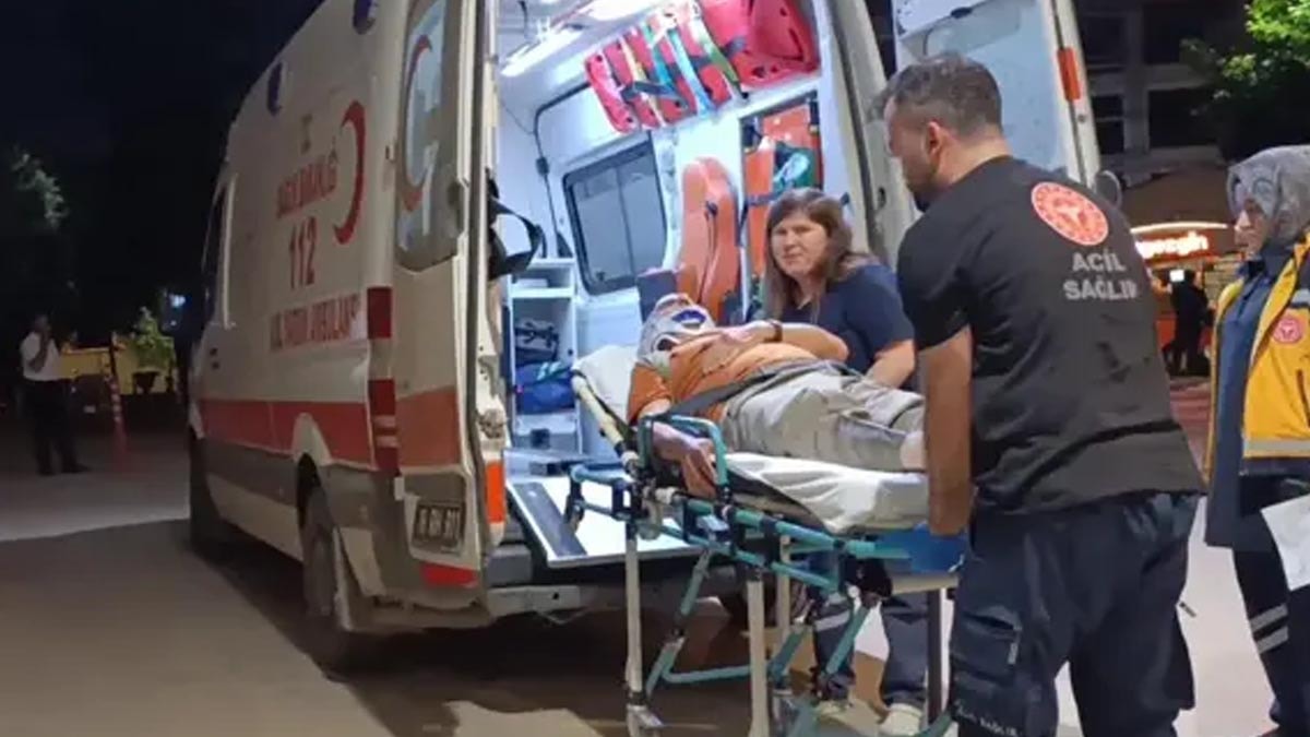 70 yaşındaki adam erik toplarken 3 metre yüksekten düştü