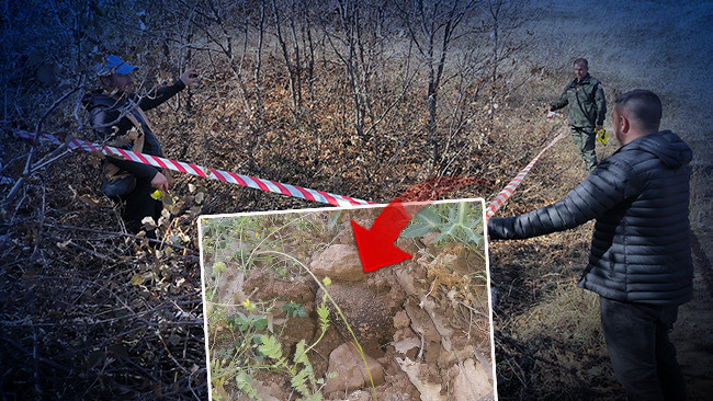 Erzurum ve Erzincan'da 22 ton trüf mantarı keşfedildi: Kilosu 750 avro