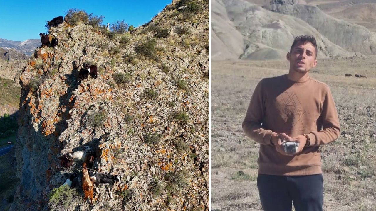 Erzurum'da Tekno Çoban: Drone ile Sürü Yönetimi