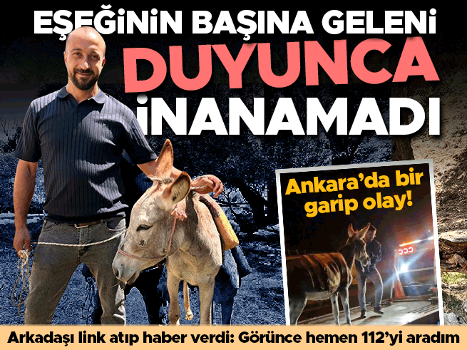Eşeğini Çekiciyle Yediemin Otoparkına Götürülen Vatandaşın Şaşkınlığı