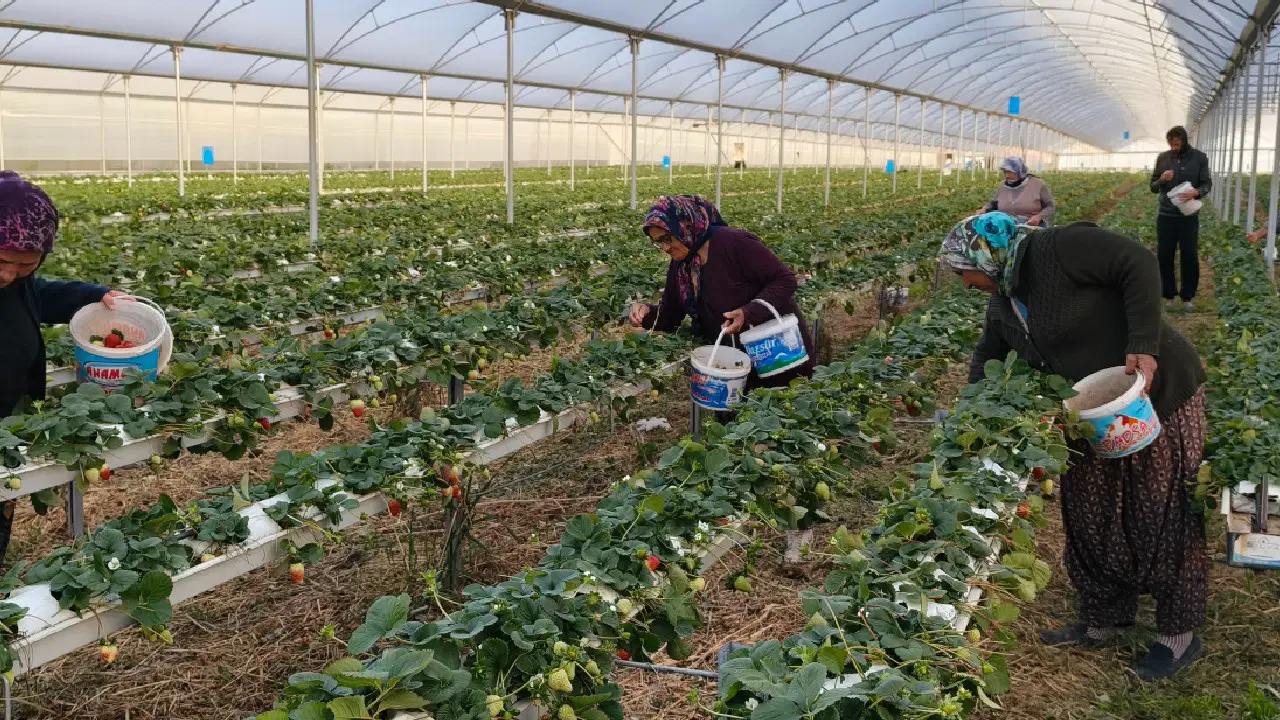 Eşini ikna etmek için seraya adını verdi: Şimdi taleplere yetişemiyorlar