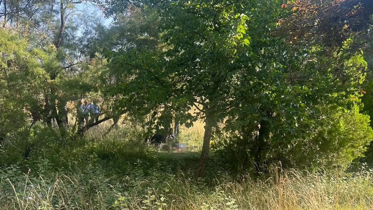 Eskişehir'de Ağaçlık Alanda Ölü Bulunan Kişinin Kimliği Belli Oldu