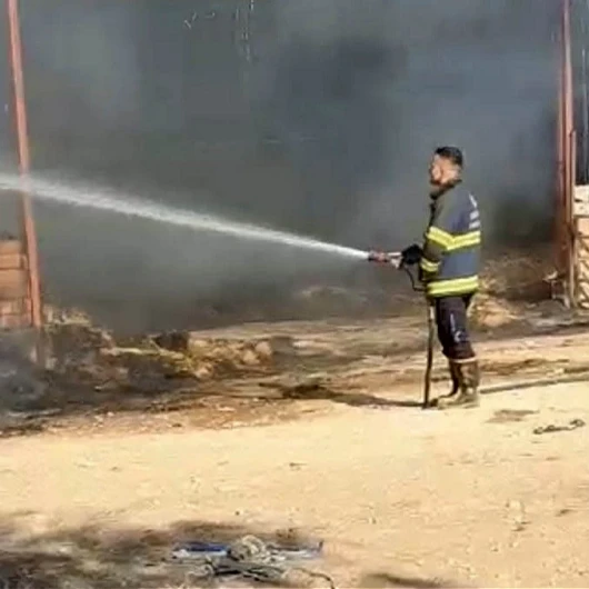 Eskişehir'de çiftlik yangını: 15 küçükbaş hayvan telef oldu