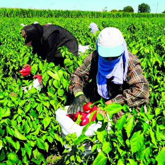 Esnaf ve Çiftçiye 683 Milyarlık Kredi Desteği Geliyor