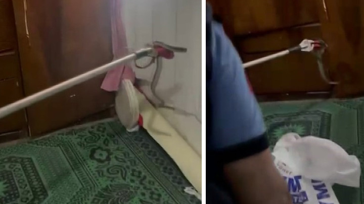 Eve Giren Yılan Paniğe Neden Oldu, İtfaiye Yakaladı