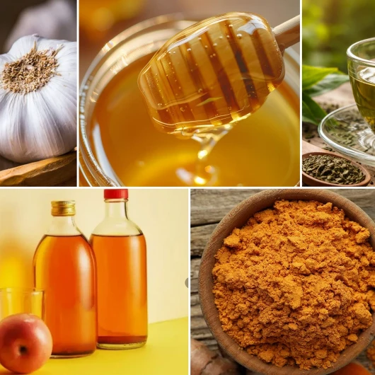 Evinizdeki Doğal Antibiyotikler: 14 Güçlü Besin