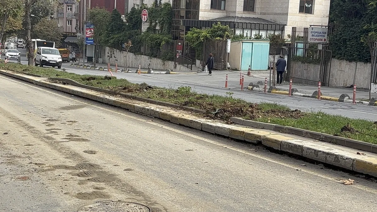 Eyüpsultan'da Ağaç Kesimi Tepki Çekti: Asırlık Çınarlar Tehlikede