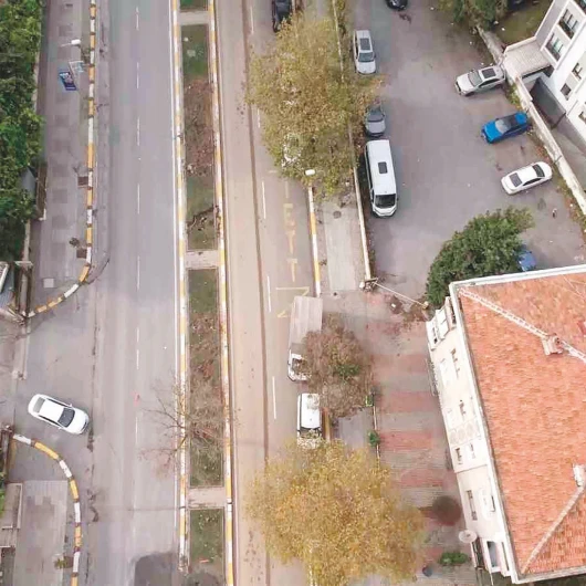 Eyüpsultan'da Ağaç Nöbeti: Tarihi Çınarlar İçin İnsan Kalkanı