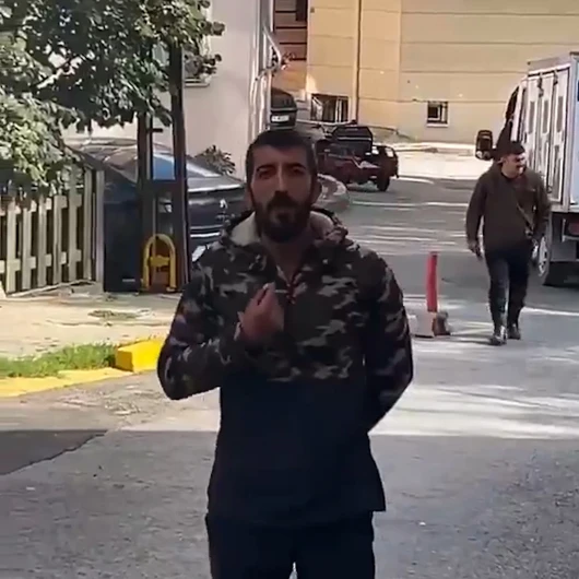 Eyüpsultan'da Sahipsiz Köpek Toplama Görüntülendi: Görevli Tepkiye Sakin Yanıt Verdi