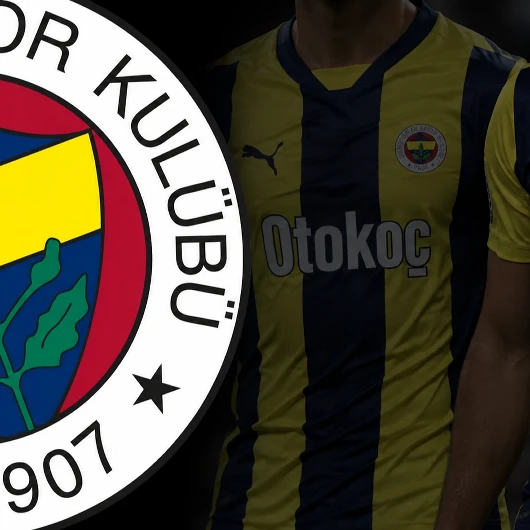 Fenerbahçe'de İki Ayrılık: Nene ve Mimovic Yolcu