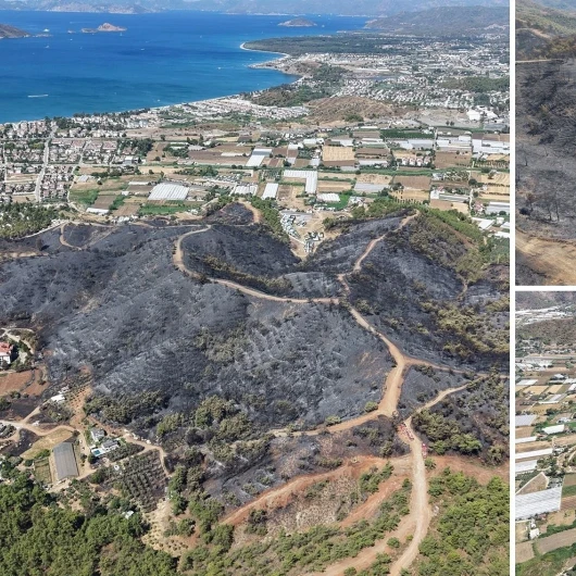 Fethiye'deki Orman Yangını Sonrası Havadan Görüntülendi