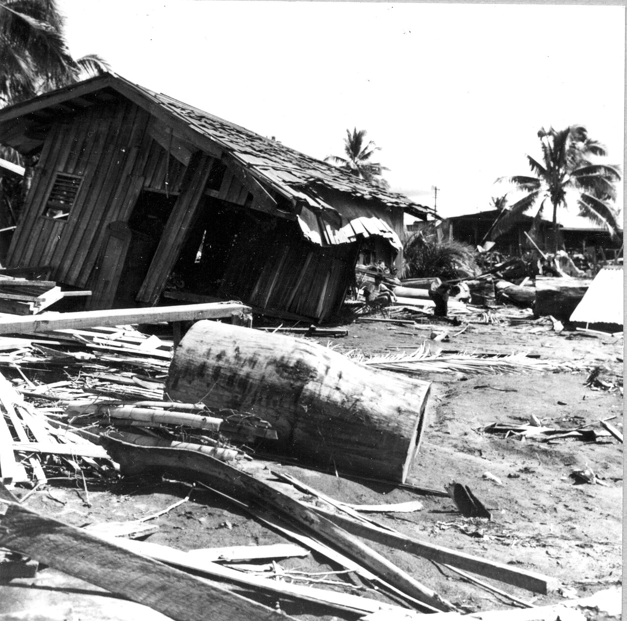 Filipinler'de 7,8 ile sarsıntı: Tsunami uyarısı ve 1 metrelik dalgalar