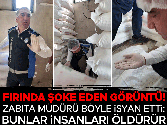 Fırında fare istilası! Zabıta müdürü: Bu pislik insanları öldürür