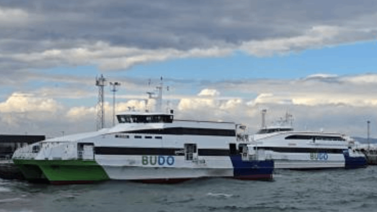 Fırtına BUDO Seferlerini Vurdu: Bursa-İstanbul Deniz Ulaşımı Durdu