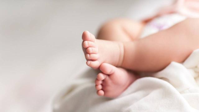Fransa'da Evde Bebek Kalıntıları Bulundu